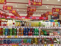 -赵一鸣零食(广东佛山大沥镇嘉洲店)