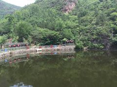 -双新垂钓园