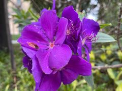 -杏花堂山西菜馆(壹方城店)