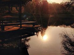 -上海共青森林公园