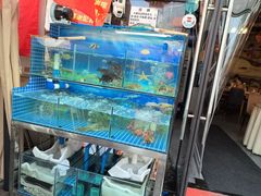 -牟记江湖重庆地标特色菜鱼蛋海鲜羊蝎子(巴南区黑金冠十多年好店)