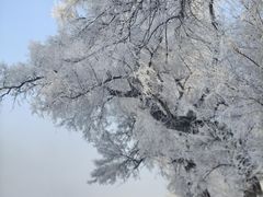 -雾凇岛