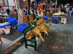 -八木轩·寻味大理白族民俗餐厅(文献路店)