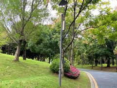 -牛岗山公园