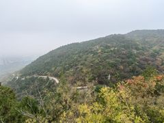 -府君山公园