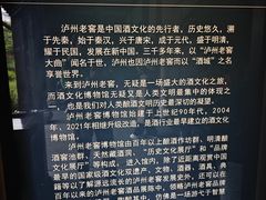 -泸州老窖景区