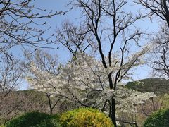 -北岭山森林公园