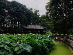 -宝光寺