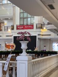 -禾丽康美医疗美容医院