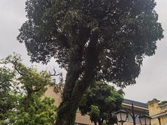 -广州鲁迅纪念馆(国民党一大旧址)
