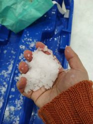 -Mr·Kuma酷么先生雪之乐园