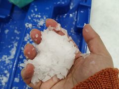 -Mr·Kuma酷么先生雪之乐园