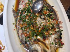 -洞庭渔人(沙湾店)