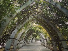 -天津东丽湖风景区