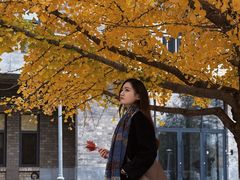 -辽宁大学(崇山校区)