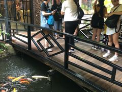 -优之名鹅城