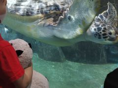 -福州罗源湾海洋世界旅游区