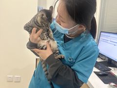 -美迦爱-牙专科·兔科·骨科诊疗中心(北苑店)