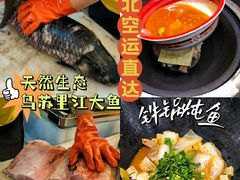 -老刘生态大鱼坊铁锅炖鱼(赛马场店)
