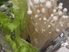 -蒙都43°9羊火锅(平庄店)