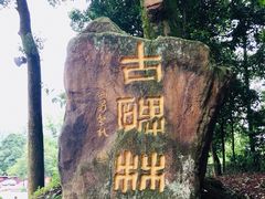 -峨眉山报国寺