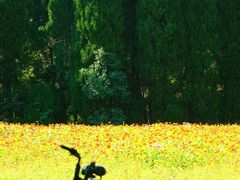 -华东政法大学(松江校区)