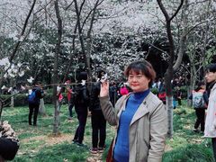 -武汉大学-樱园