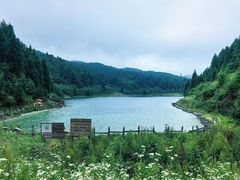 -武陵山森林公园