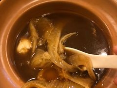 -大中鱼翅 Taitong Shark Fin