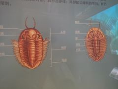 -湖南省地质博物馆