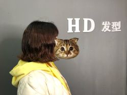 -HD HAIR STYLE