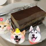 甜品search上线[鸭子]