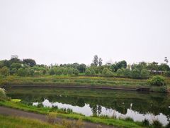 -白鹭湾湿地公园