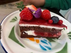 -聚福SHANGHAILANDER(乌鲁木齐南路店)