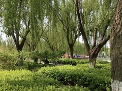 -杏花村文化旅游区
