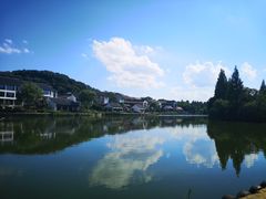-鲁镇
