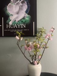 -花隐·美芙炫海菲秀皮肤管理中心