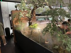-绿茶餐厅(二七万达店)