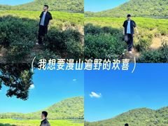 -中国茶叶博物馆(双峰馆区)