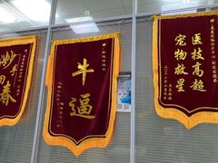 -美美宠物诊疗中心·异宠·骨科(滨江东信分院)