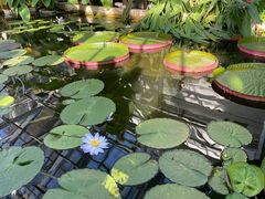 -国家植物园南园