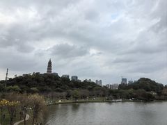 -顺峰山公园