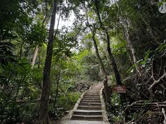 -七仙岭温泉国家森林公园