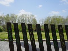 -溱湖国家湿地公园