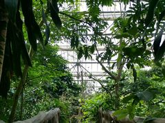 -南山植物园