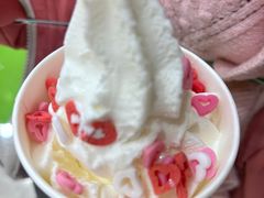 冻酸奶-Salud撒露欧洲冻酸奶(北苑上品店)