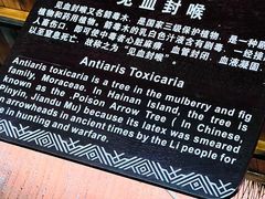 -海南槟榔谷黎苗文化旅游区