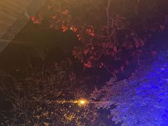 -夜猫子串吧·龙虾.江西小炒(万塘路店)
