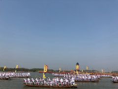 -溱湖国家湿地公园