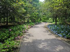 -上海滨江森林公园